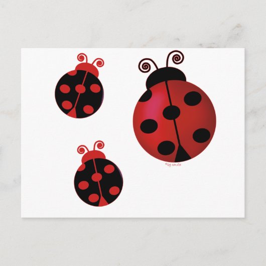 Three Ladybugs Postkarte (Vorderseite)