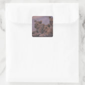 Three Lion Cubs Quadratischer Aufkleber (Tasche)