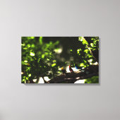 Three Little Birds Leinwanddruck (Vorderseite)