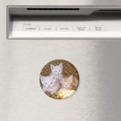 Three Little Kittens Magnet (In Situ (Geschirrspüler))