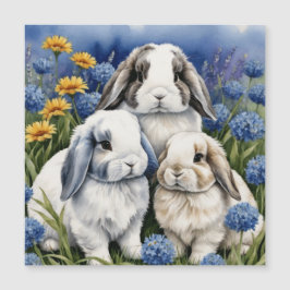 Three Little Lop Bunny Rabbits Magnetkarte
