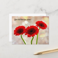 Three Little Red Gerberas Postcard