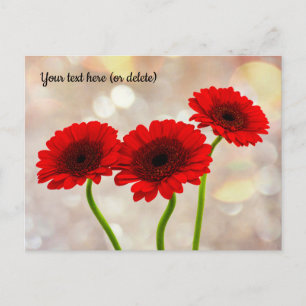 Three Little Red Gerberas Postcard Postkarte