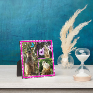 Three Meerkat Foto Collage, Foto Plaque Fotoplatte