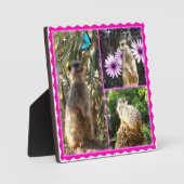 Three Meerkat Foto Collage, Foto Plaque Fotoplatte (Vorderseite)