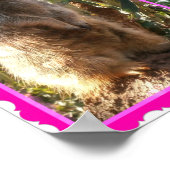 Three Meerkat Foto Collage, Poster (Ecke)