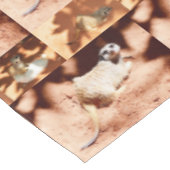 Three Meerkat Picture Collarge Tischdecke (Schrägansicht)