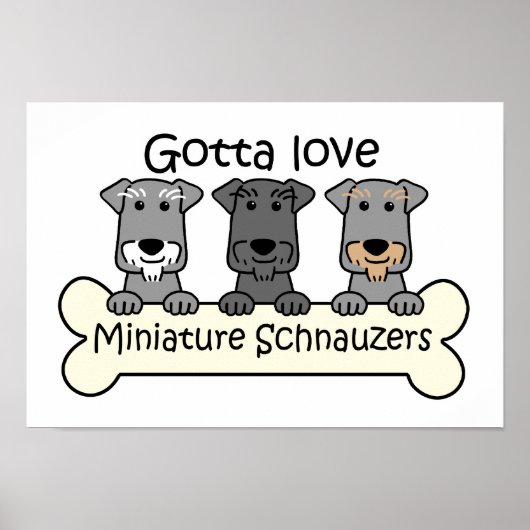 Three Miniature Schnauzers Poster (Vorne)