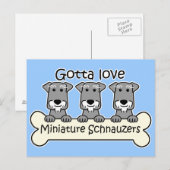 Three Miniature Schnauzers Postkarte (Vorne/Hinten)