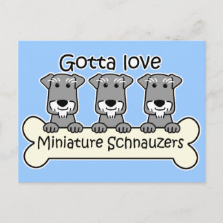 Three Miniature Schnauzers Postkarte