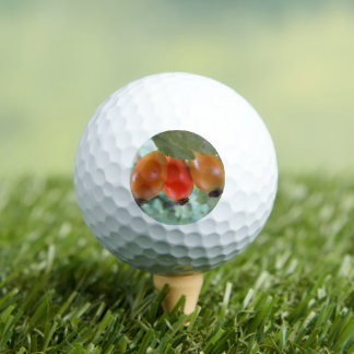 Three orange rosehips golfball