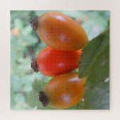 Three orange rosehips puzzle (Horizontal)