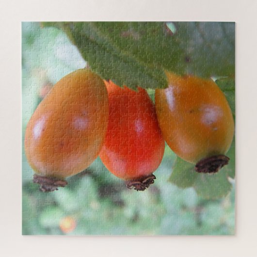 Three orange rosehips puzzle (Vertikal)