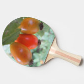 Three orange rosehips tischtennis schläger (Seitenansicht)