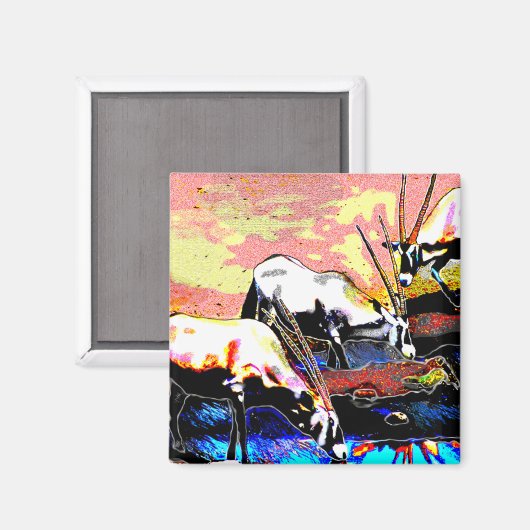 Three Oryx Magnet (Vorderseite/Rückseite)
