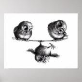 Three Owls - Freiheit und Spaß Poster (Vorne)