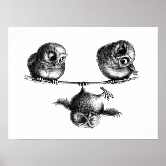 Three Owls - Freiheit und Spaß Poster (Vorne)