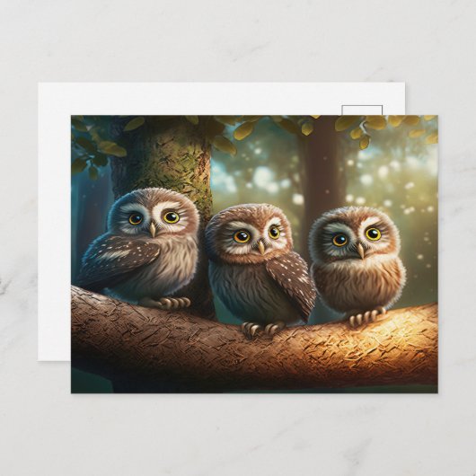 Three Owls Postkarte (Vorne/Hinten)