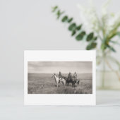 Three Piegan Blackfeet Chiefs - Vintag Postkarte (Stehend Vorderseite)