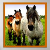 Three Ponies Poster (Vorne)