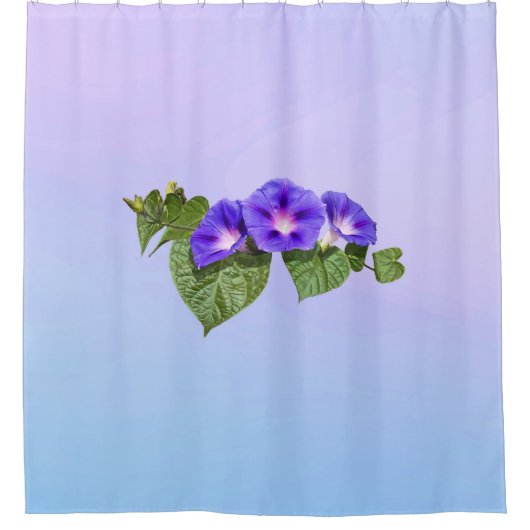 Three Purple Morning Glories Duschvorhang (Vorderseite)