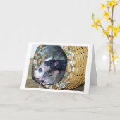 Three Rats in a Basket Karte (Gelbe Blume)