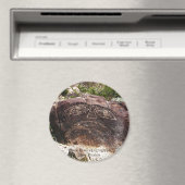 Three Rivers Petroglyph Magnet (In Situ (Geschirrspüler))
