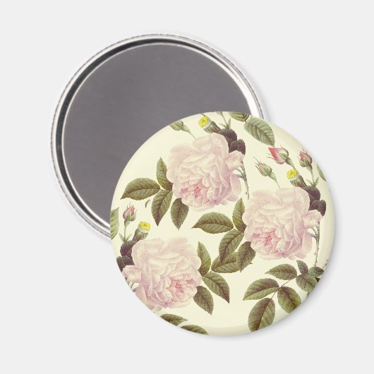 Three Rose Cream Magnet (Vorderseite/Rückseite)