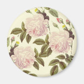 Three Rose Cream Magnet (Vorne)