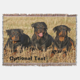 Three Rottweiler Dogs - Pack of Rotties Decke