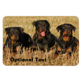 Three Rottweiler Dogs - Pack of Rotties Magnet (Horizontal)