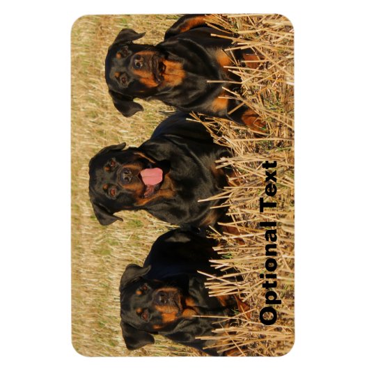 Three Rottweiler Dogs - Pack of Rotties Magnet (Vertikal)