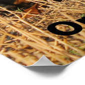 Three Rottweiler Dogs - Pack of Rotties Poster (Ecke)