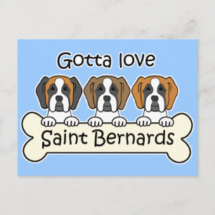 Three Saint Bernards Postkarte