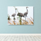 Three Sandhill Cranes Leinwanddruck (Insitu (Holzboden))