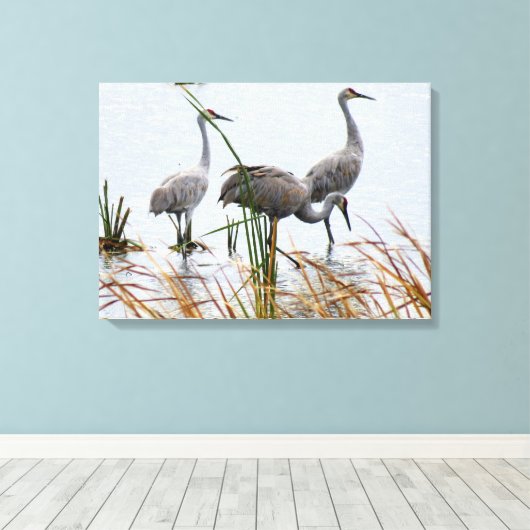 Three Sandhill Cranes Leinwanddruck (Insitu (Holzboden))
