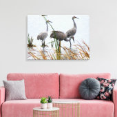 Three Sandhill Cranes Leinwanddruck (Insitu (Wohnzimmer))