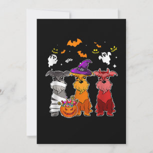 Three Schnauzer Hexenhut Niedliche Halloween-Gesch