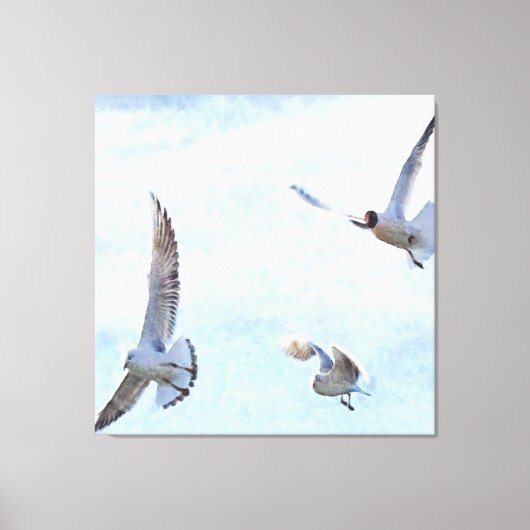 Three Seagulls Wassercolor Leinwanddruck (Vorderseite)