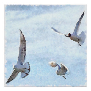Three Seagulls Wassercolor Poster
