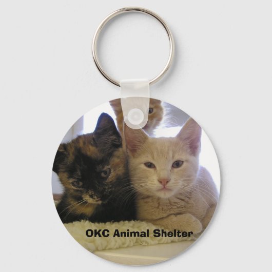 Three Shelter Kittens Schlüsselanhänger (Vorderseite)