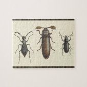 Three Side-By-Side Insects Puzzle (Horizontal)
