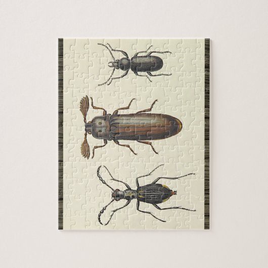 Three Side-By-Side Insects Puzzle (Vertikal)