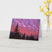 Three Sisters Wilderness, Oregon Karte (Gelbe Blume)