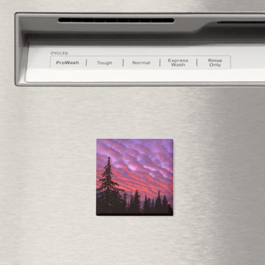 Three Sisters Wilderness, Oregon Magnet (In Situ (Geschirrspüler))