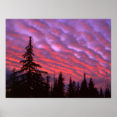 Three Sisters Wilderness, Oregon Poster (Vorne)