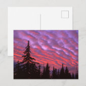 Three Sisters Wilderness, Oregon Postkarte (Vorne/Hinten)