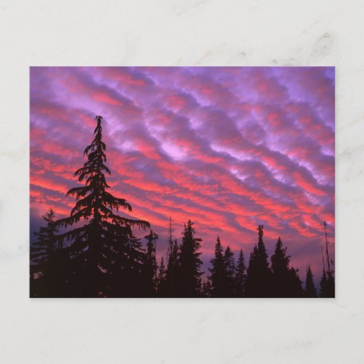 Three Sisters Wilderness, Oregon Postkarte (Vorderseite)