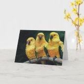 "Three Sun Conures" Bird Art Grußkarte Karte (Gelbe Blume)