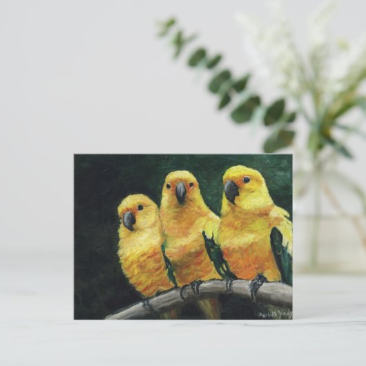 "Three Sun Conures" Bird Art Postkarte (Stehend Vorderseite)
